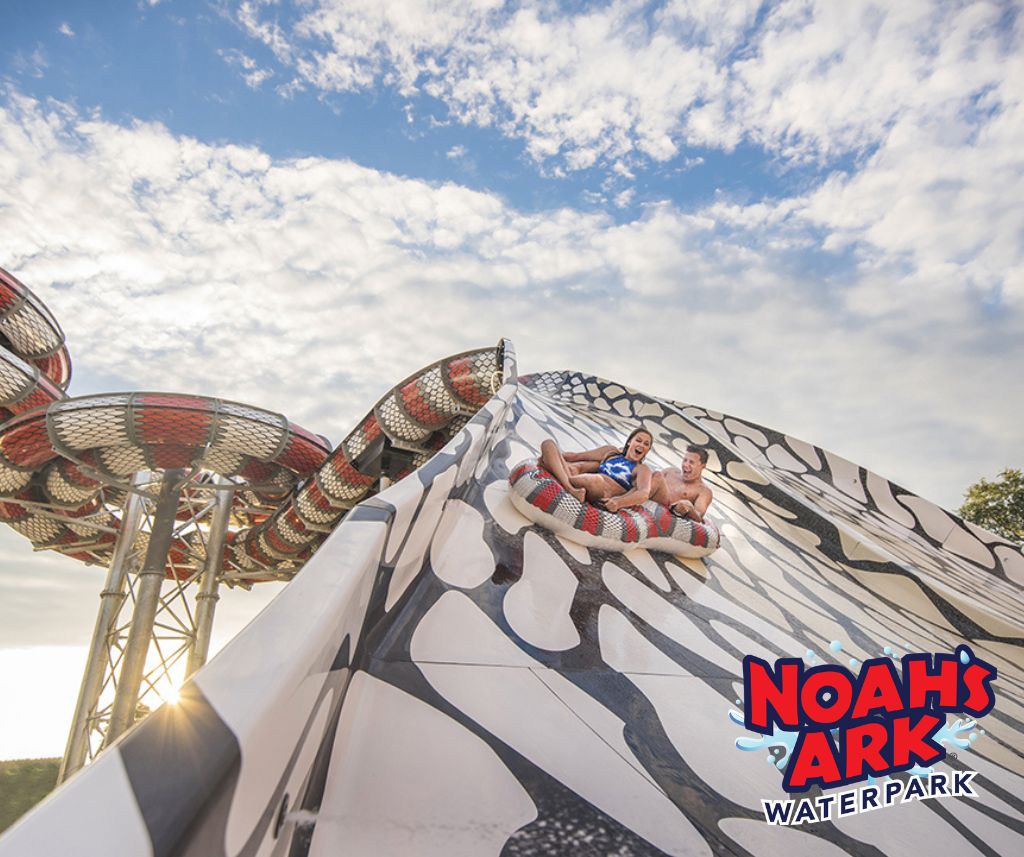 1024x857 Noahs Ark 2